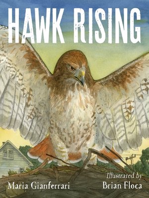 cover image of Hawk Rising